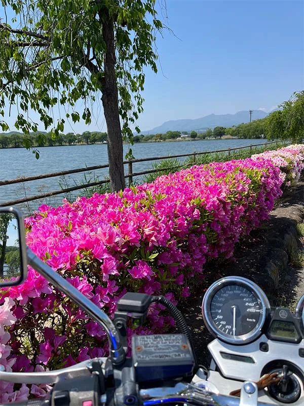 バイクからの風景