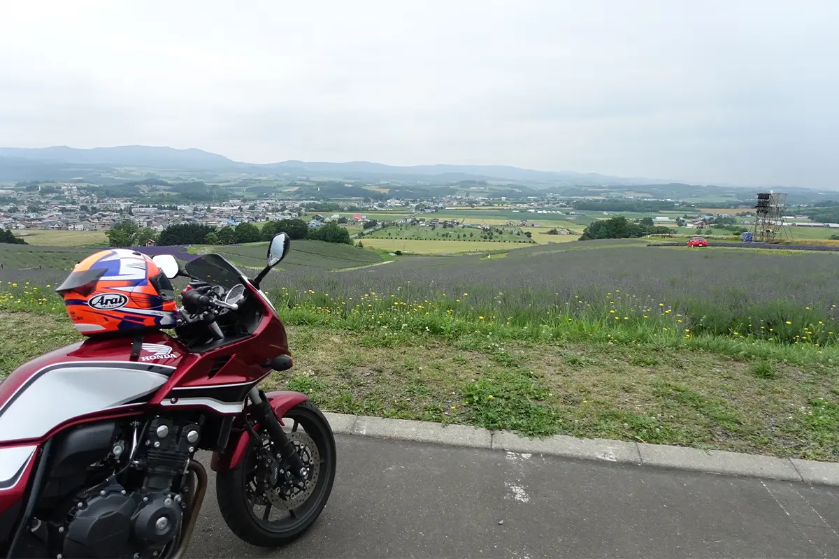 日の出ラベンダー園