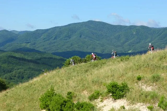 ”ツーリング”も、ダイナミック