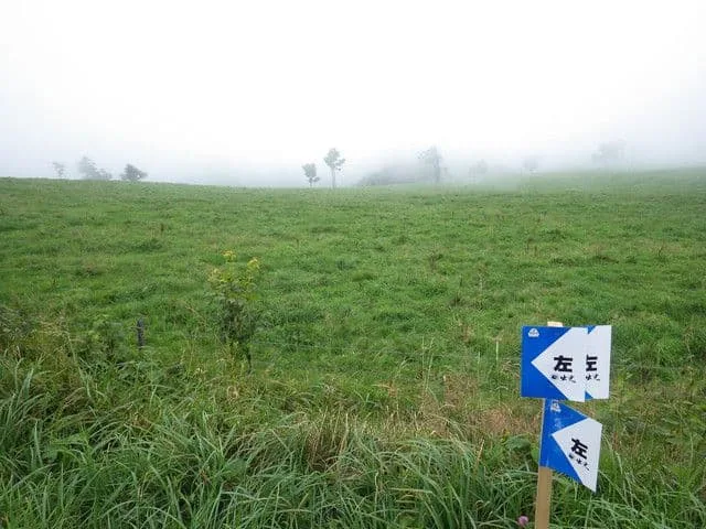 紗喜花ちゃん_01