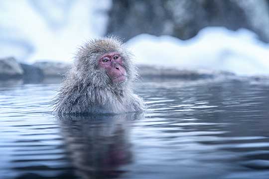 極上の癒し旅！温泉ツーリングに行ってみませんか?