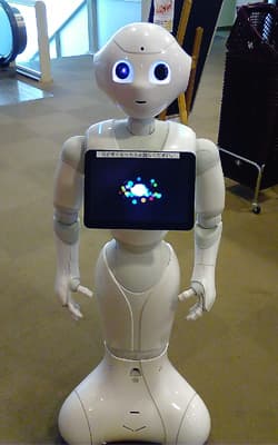 ペッパー(Pepper)