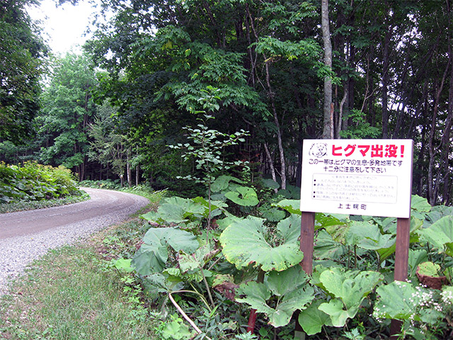 超個人的オススメスポット　タウシュベツ川橋梁編