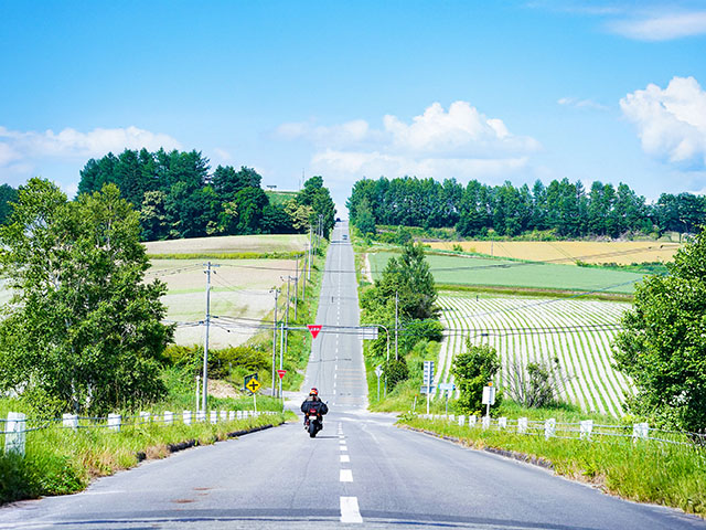 北海道 上富良野 ジェットコースターの路|バイクツーリング