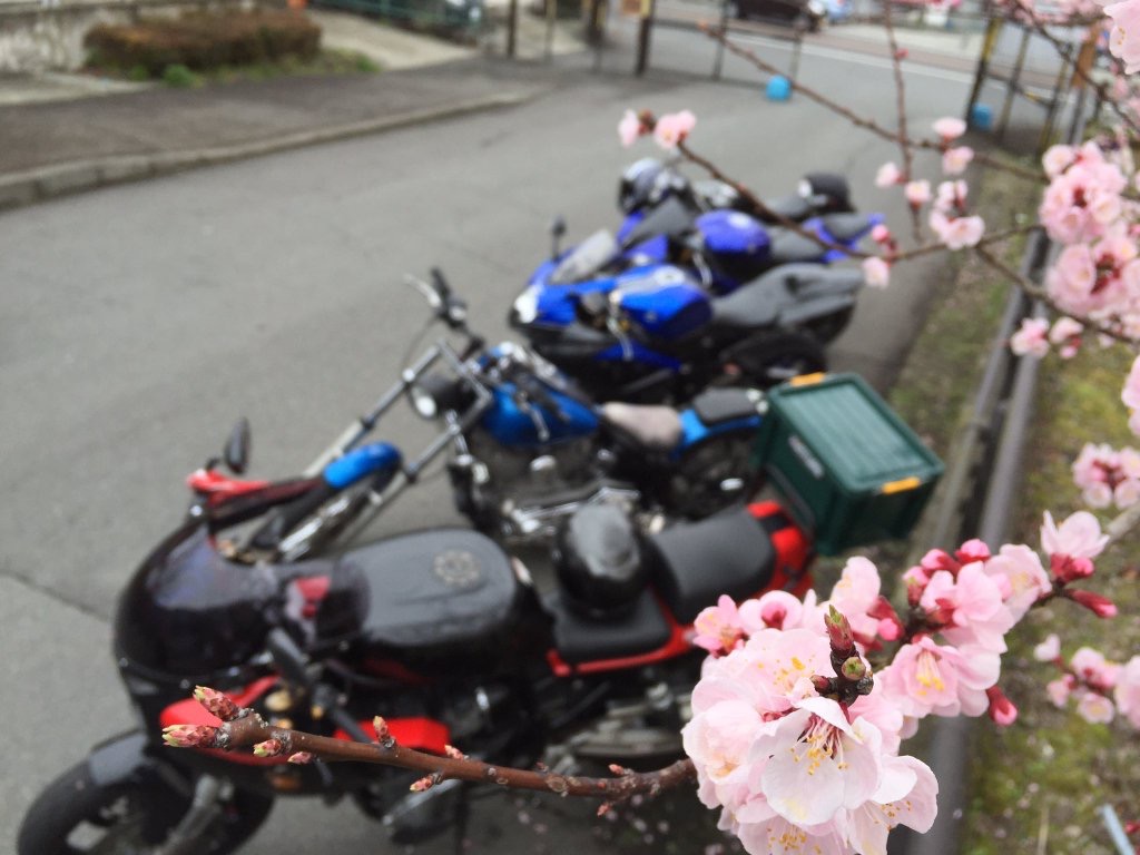 ２輪館～箱根お花見（神奈川県足柄下郡）ツーリング